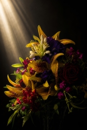 flowers-sunlight-wm