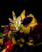 flowers1-clean-wm
