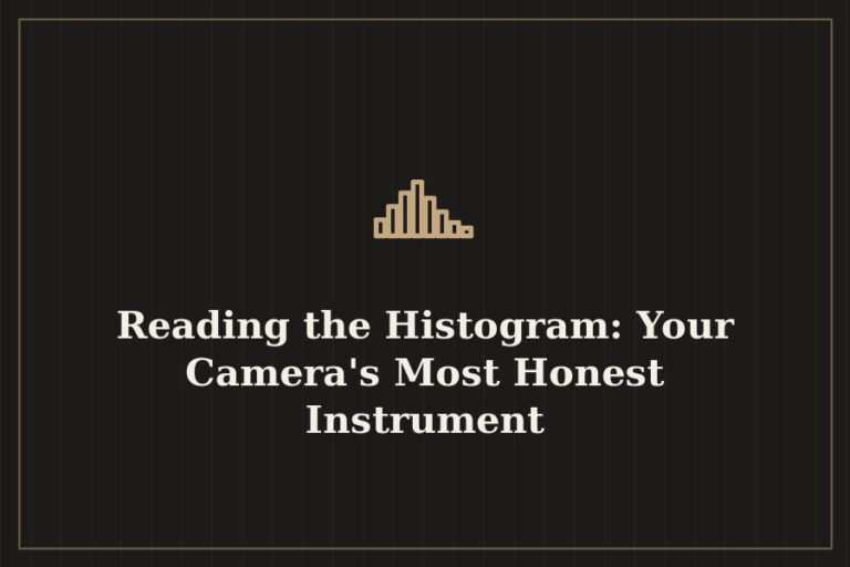 Reading the Histogram: Your Camera’s Most Honest Instrument